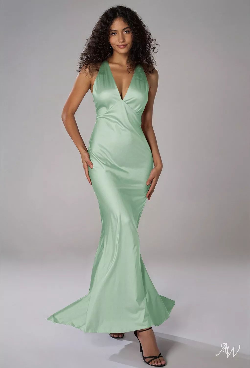 bridesmaid dresses_AW Devon Dress, Champagne Satin Charmeuse Floor Length V-Neck Bridesmaid Dresses
